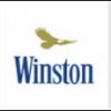 Winston (Винстон) оптом Winston (Винстон) оптом